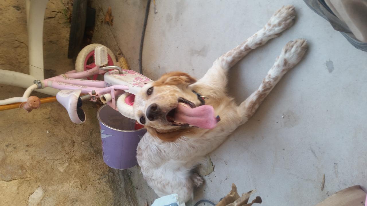 20150827_165610.jpg