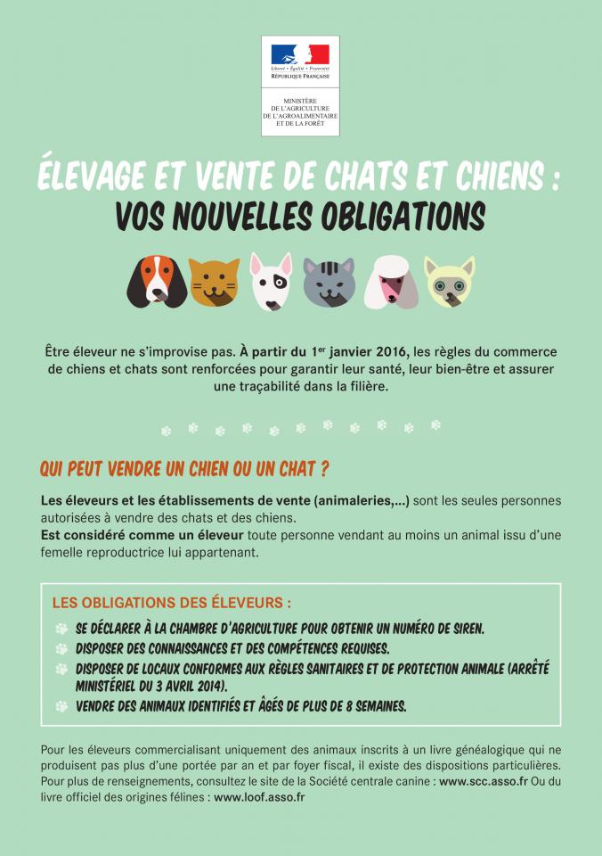 15-09-animaux-flyer(1)-1.jpg